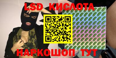 PSILOCYBIN Бугуруслан
