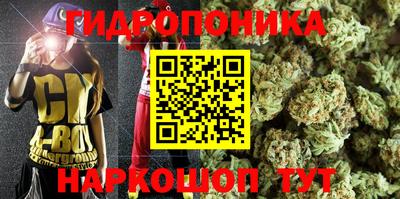 скорость Будённовск