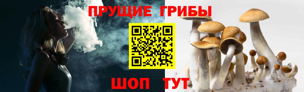 Псилоцибиновые грибы Cubensis  Вход с VPN  Псилоцибиновые грибы Cubensis  Людиново 