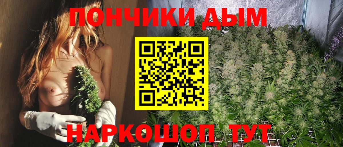 Марихуана тримм  Вход с VPN  Каннабис тримм  Шишки марихуана White Widow  Людиново 
